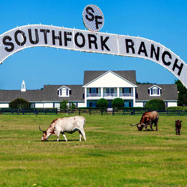 Lone Star Roots Southfork Ranch Coaster Coaster 